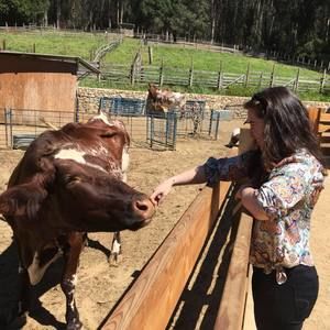 Meet your Posher, Monica